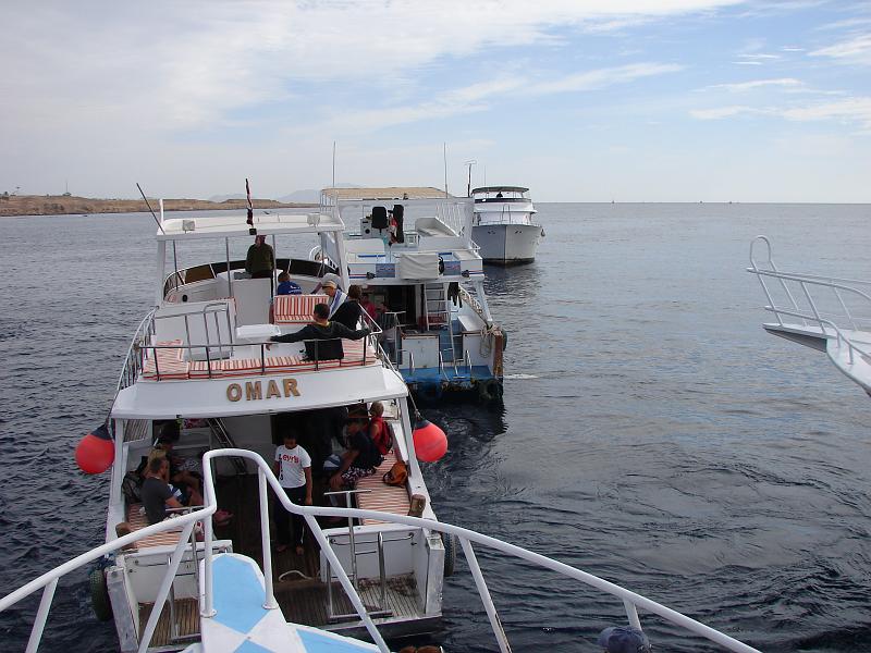 Schnorchelausflug 166